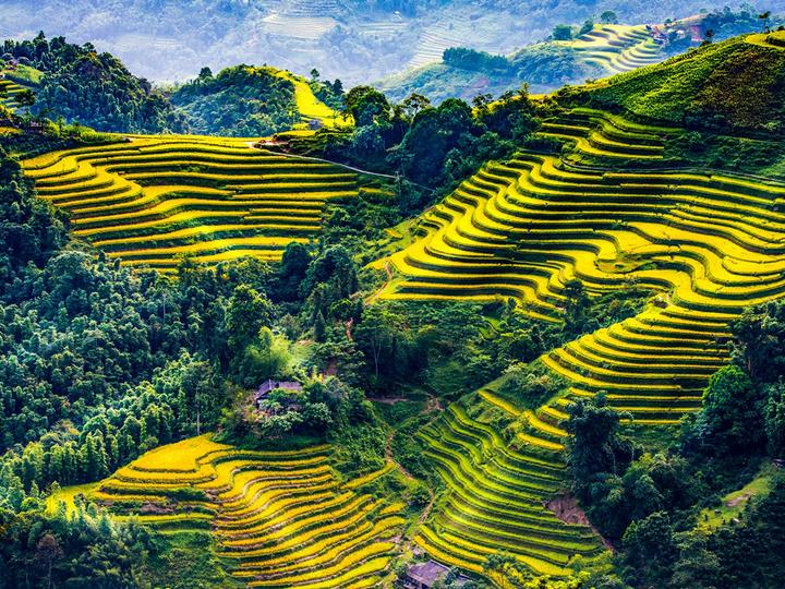 Bác sĩ trẻ và Hotspot Matrix: Kiếm thêm thu nhập, chia sẻ tri thức