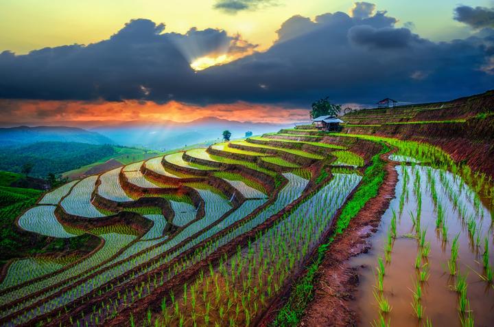 Cách Khởi Nghiệp Kiếm Tiền Bán Thời Gian Dành Cho Người Mới