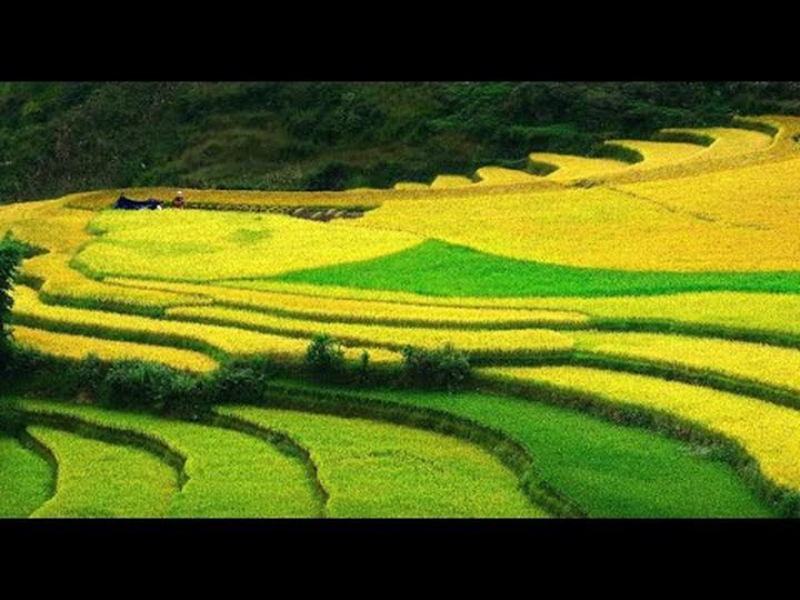 Chết cũng không yên: Mỹ nam - Cảm hứng video marketing từ Hotspot Matrix