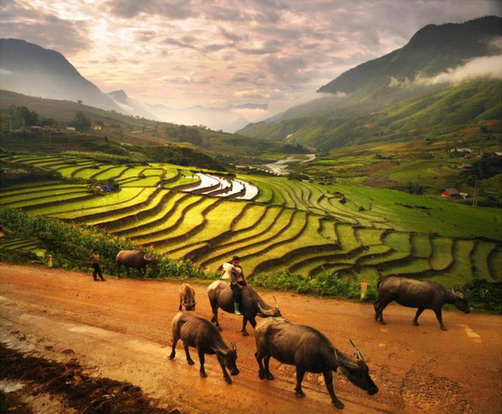 Trong những năm gần đây, xu hướng về thể thao và sức khỏe ngày càng trở nên