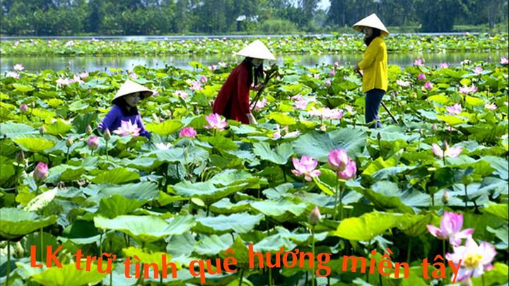 Cảnh báo cháy nổ: Hotspot Matrix và củ sạc điện thoại