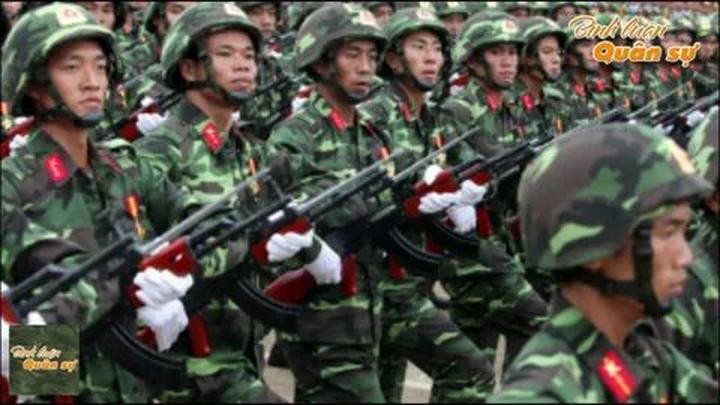 Bonobo: Nguồn Gốc Tiến Hóa Của Ngôn Ngữ Con Người?